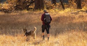 Backpacking With a Dog