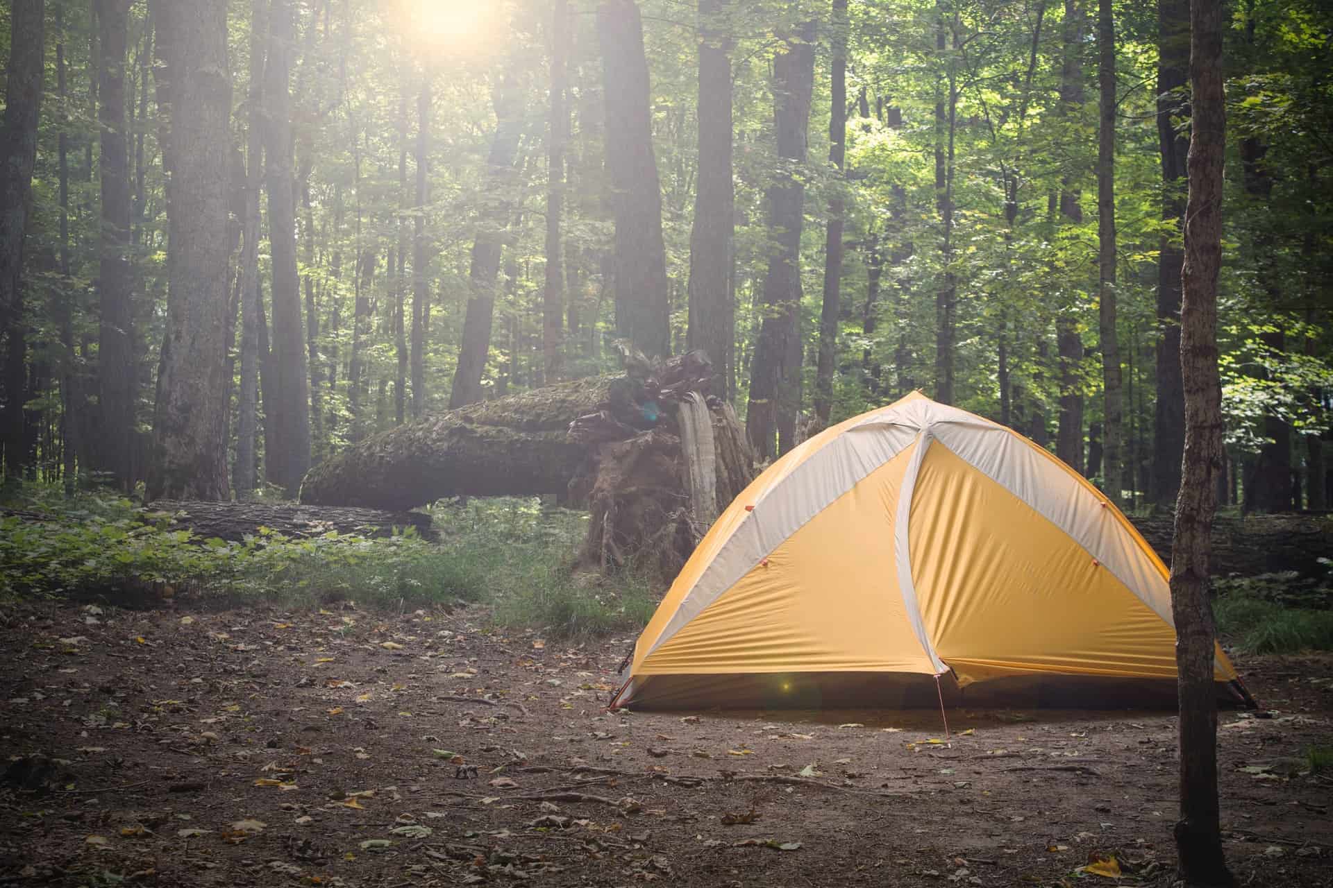 Camping Campsite